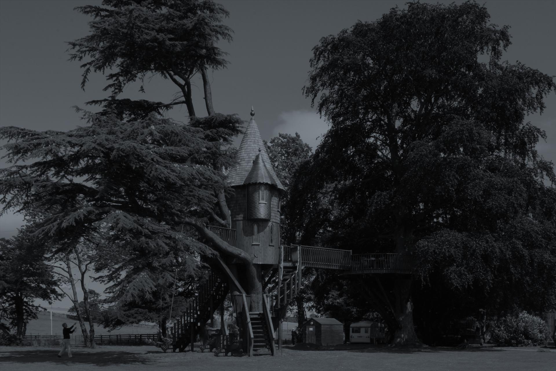 Amazon Joiners Urban Punkz